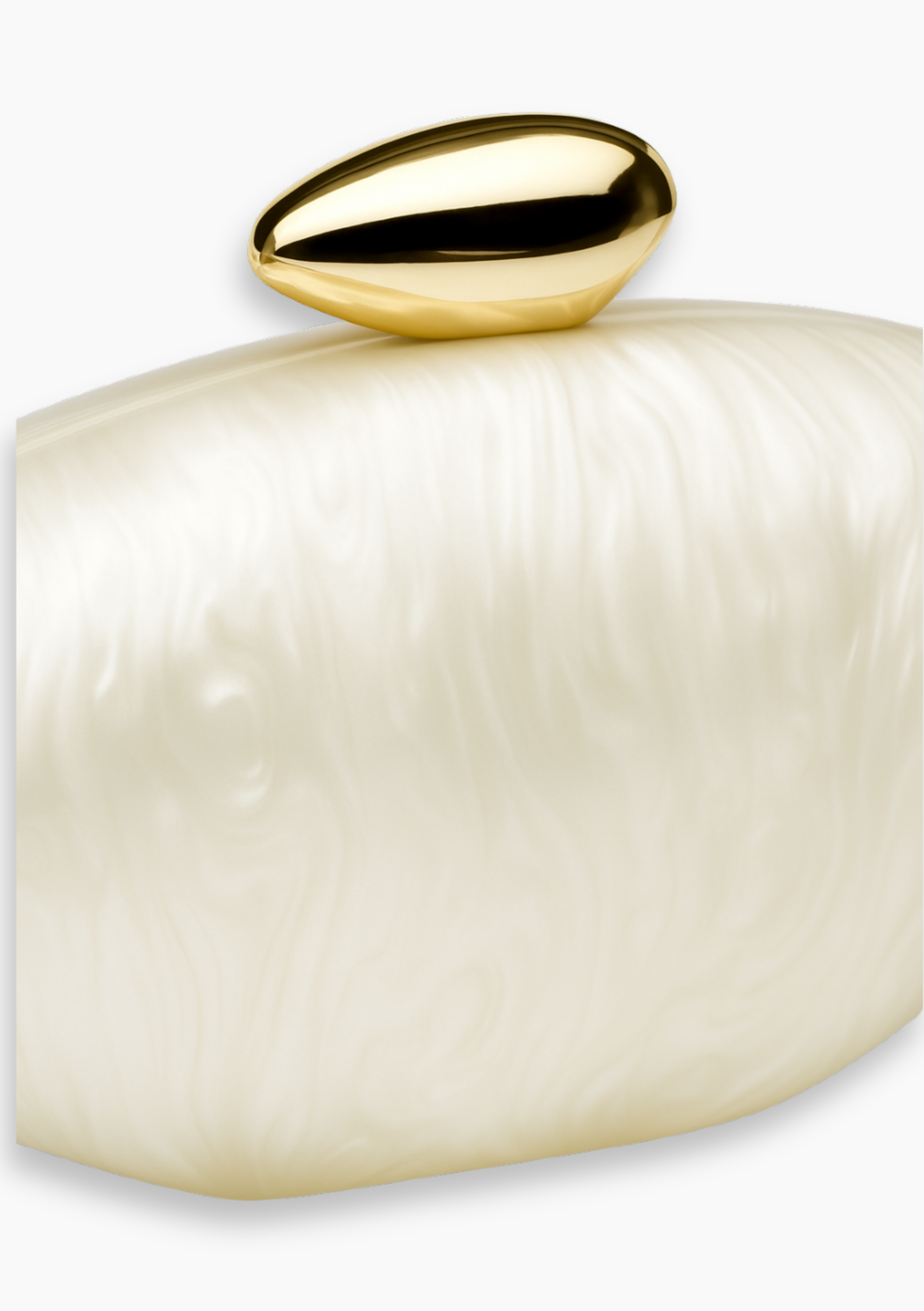 Acrylic Clutch Pochette