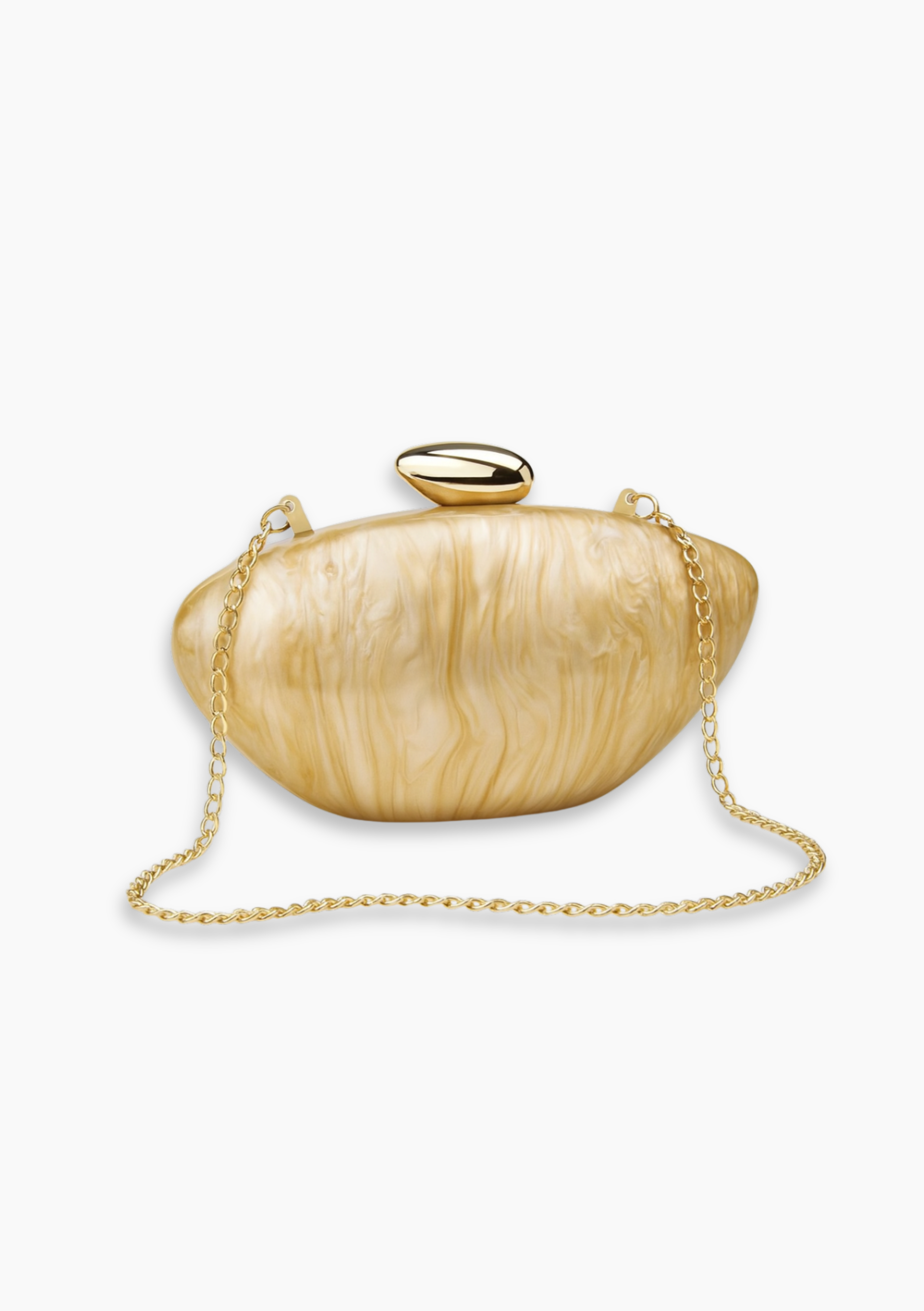 Acrylic Clutch Pochette