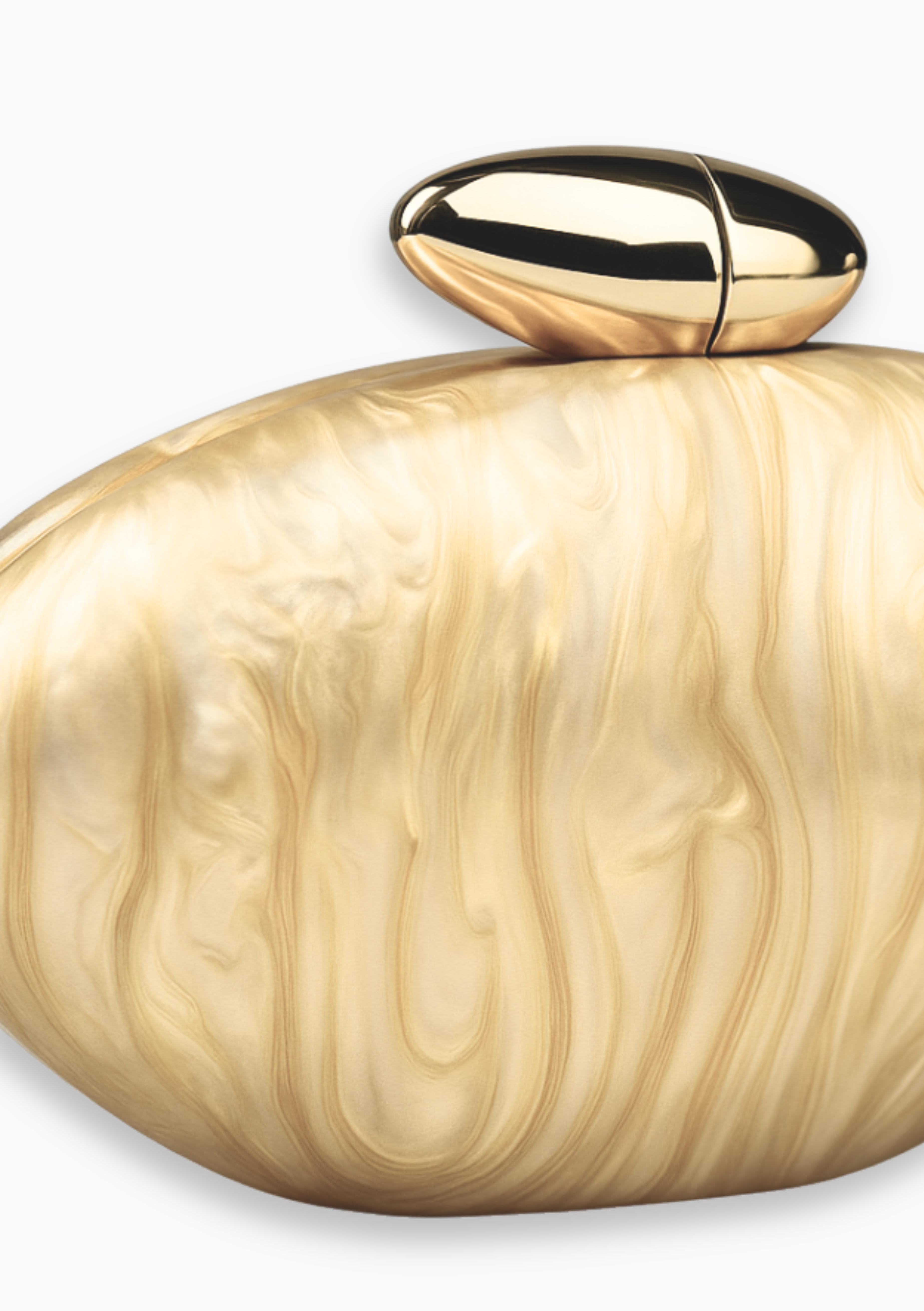 Acrylic Clutch Pochette