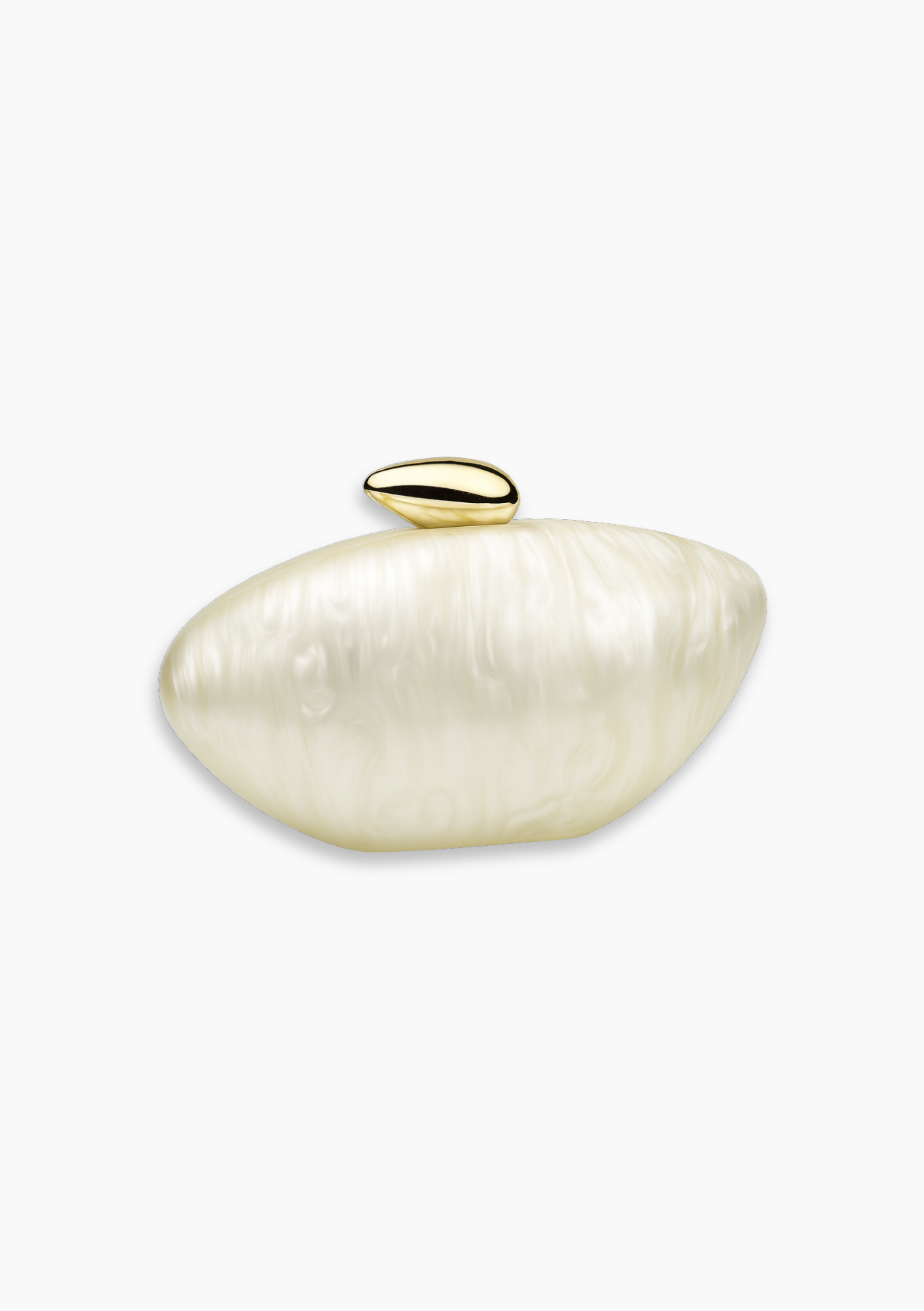 Acrylic Clutch Pochette